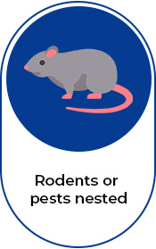 Rodents or Pests